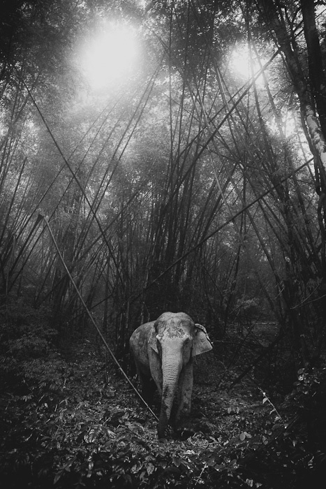 人像摄影：迷样呼吸