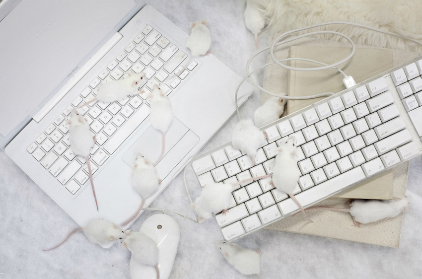 人像摄影：纯色少女