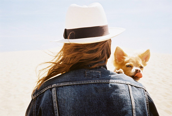 Matthew Frost摄影作品