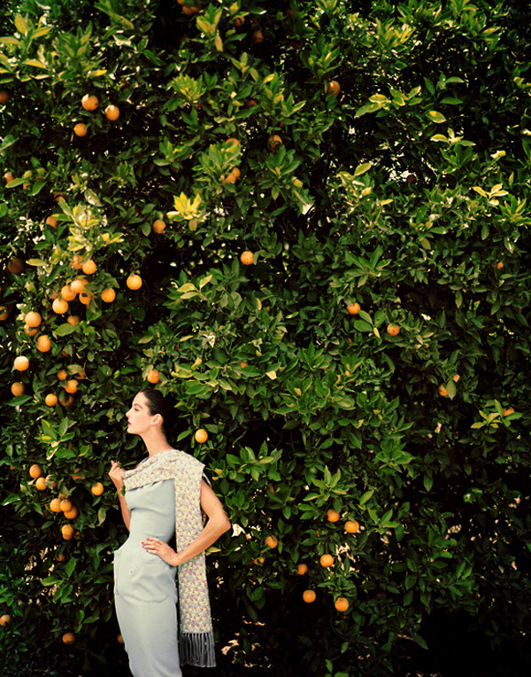 Tom Palumbo时尚摄影作品