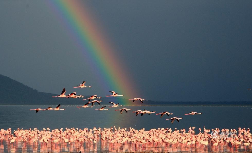 和平万里行摄影师：萧景勋
