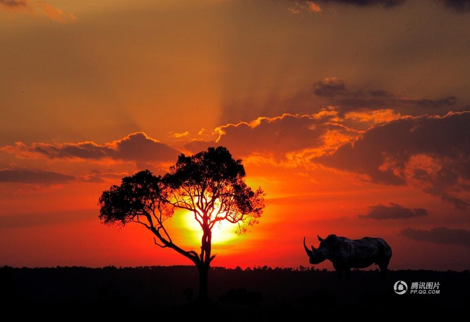 和平万里行摄影师：萧景勋