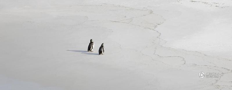 和平万里行摄影师：陈茂盛