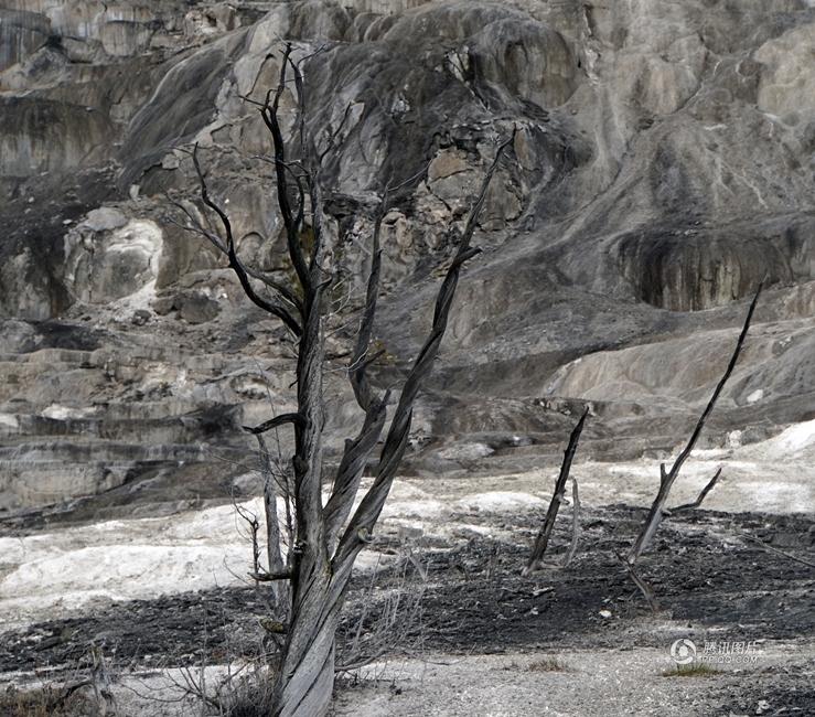 和平万里行摄影师：倪建春