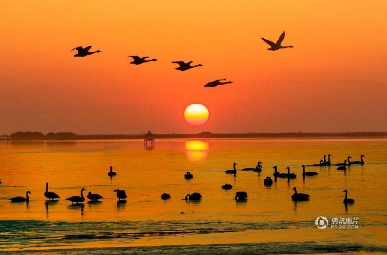 和平万里行摄影师：沈森龙