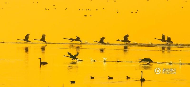 和平万里行摄影师：沈森龙