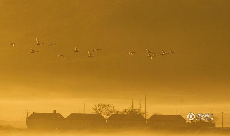 和平万里行摄影师：沈森龙