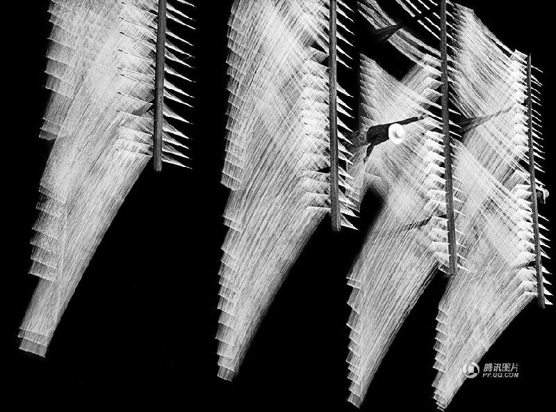 和平万里行摄影师：傅启元