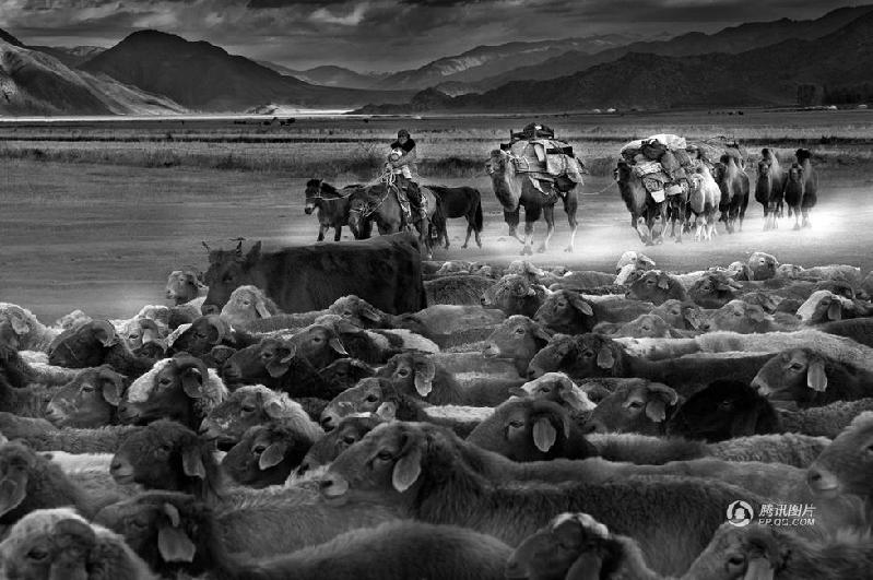 和平万里行摄影师：傅启元