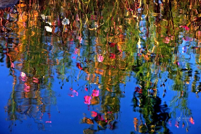 和平万里行摄影师：丁伟