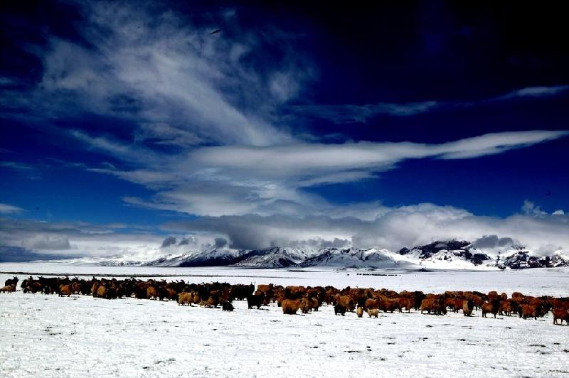 和平万里行摄影师：丁伟
