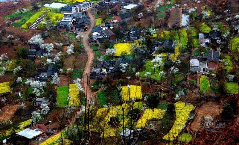 和平万里行摄影师：张小苏