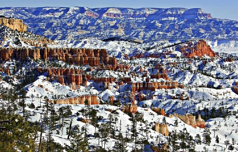 和平万里行摄影师：张小苏