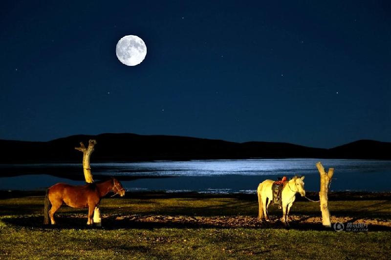 和平万里行摄影师：张小苏