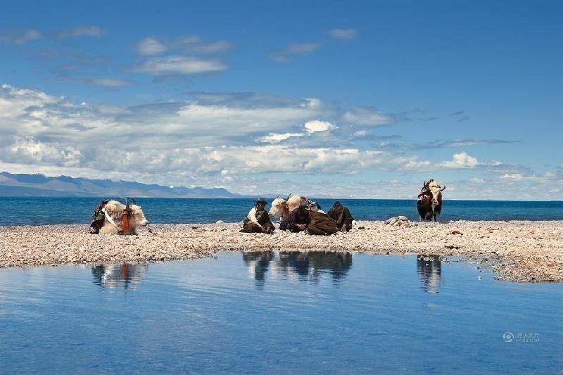 和平万里行摄影师：杨元惺