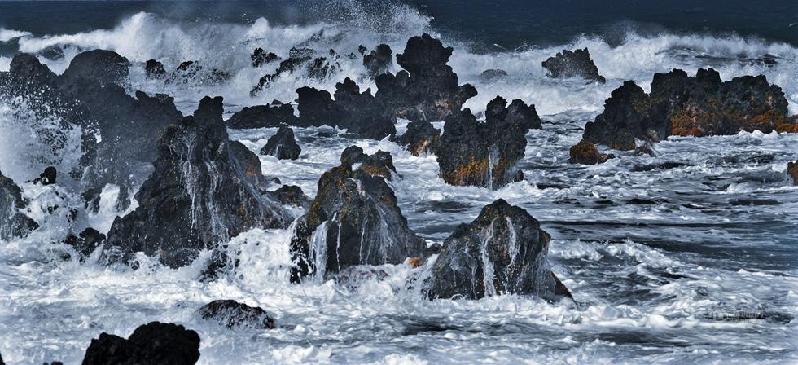 和平万里行摄影师：杨元惺