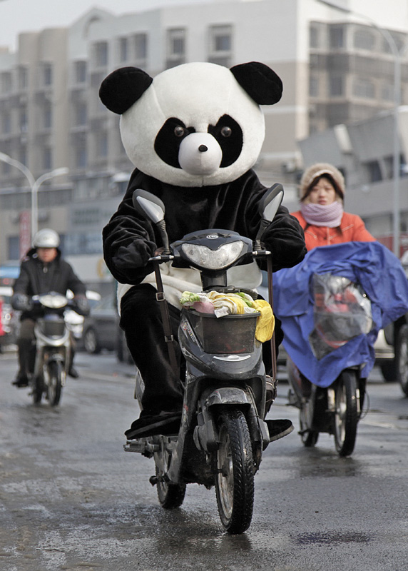 《“车技”惊心 ——电动自行车，且行且珍惜》