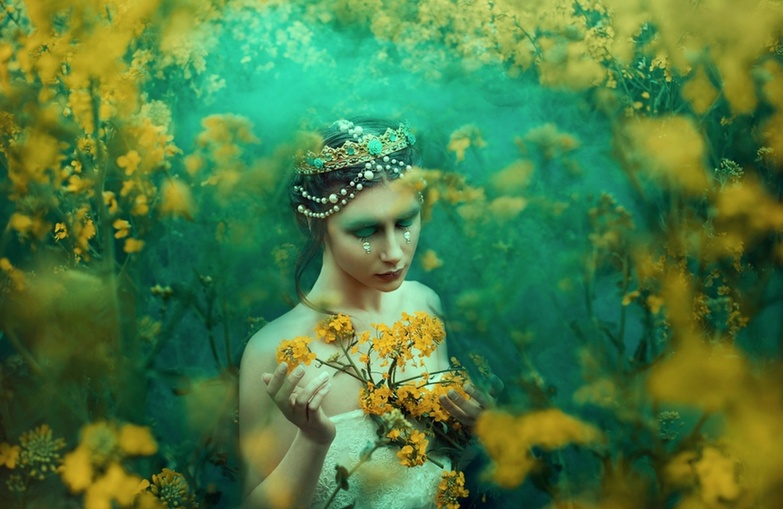 迷失在春天的花朵