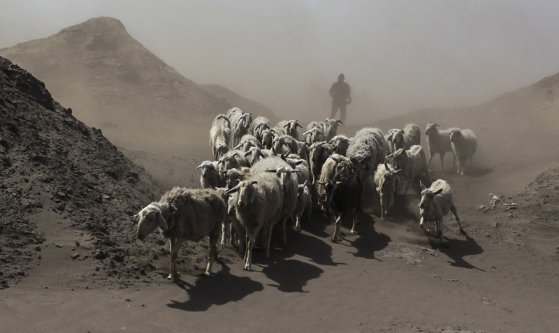 烟霾下的生活