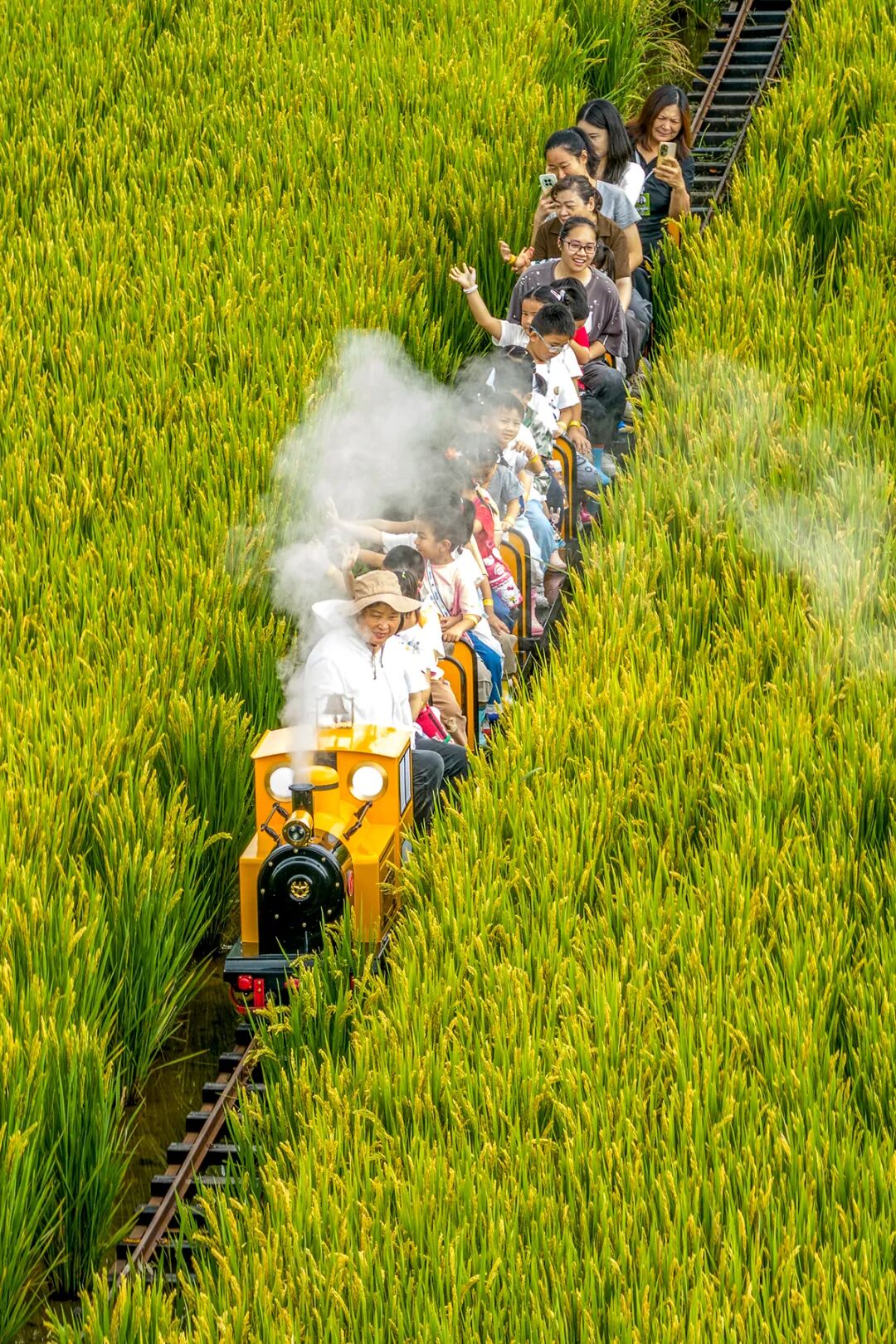 用“理论强基+案例研讨+实践淬炼”强“四力”