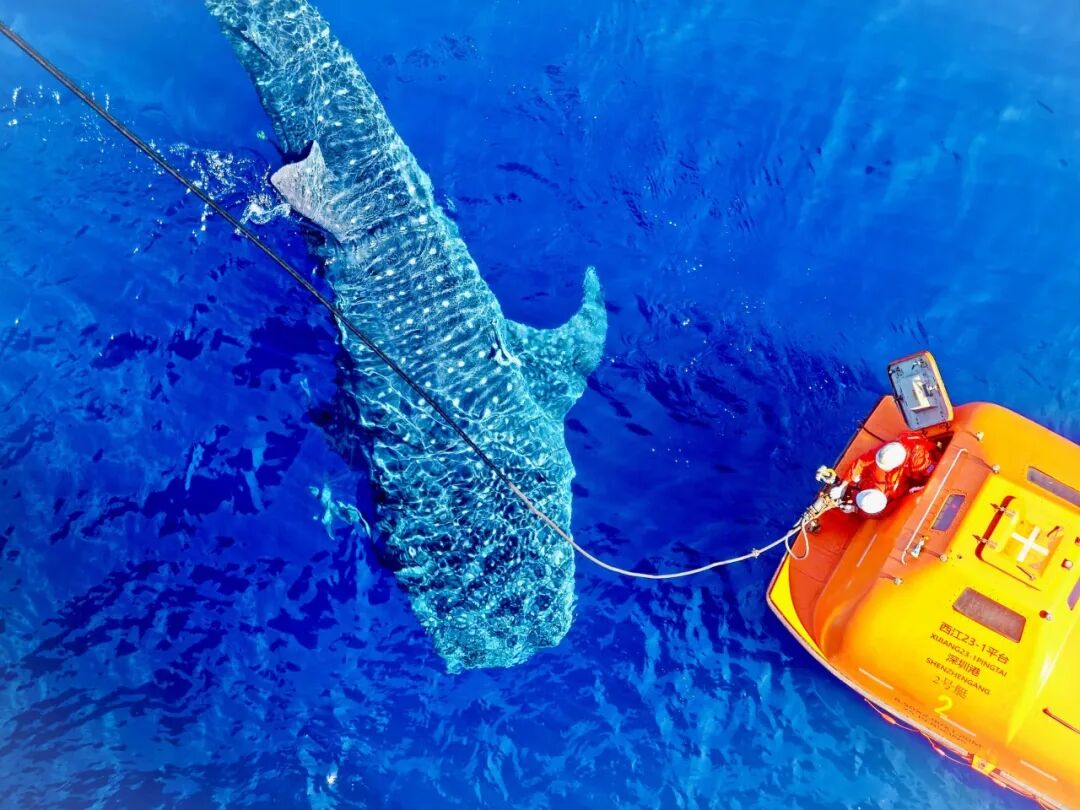 中华世纪坛看展丨和平发展 逐梦同行 — 全国主流媒体新闻摄影展