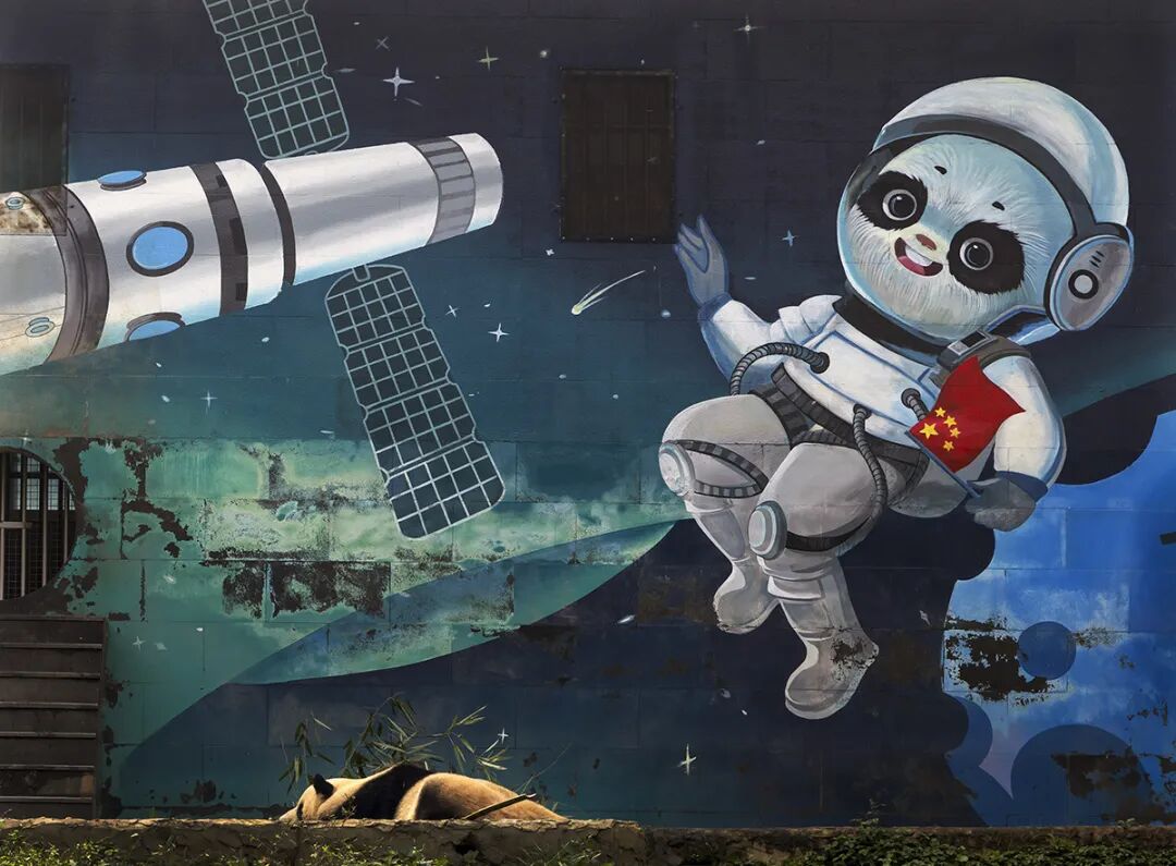 探访中国大熊猫保护研究中心雅安基地