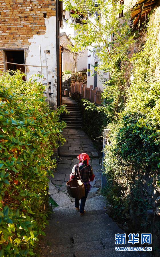 （图片故事）（6）“晒秋大妈”的幸福生活