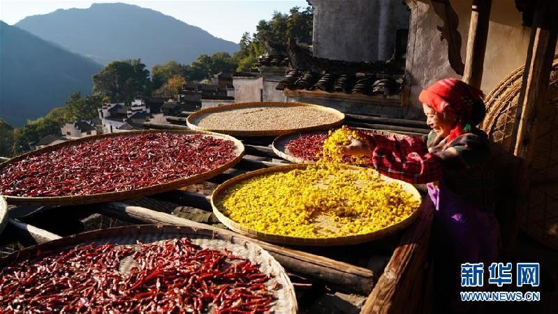 （图片故事）（1）“晒秋大妈”的幸福生活