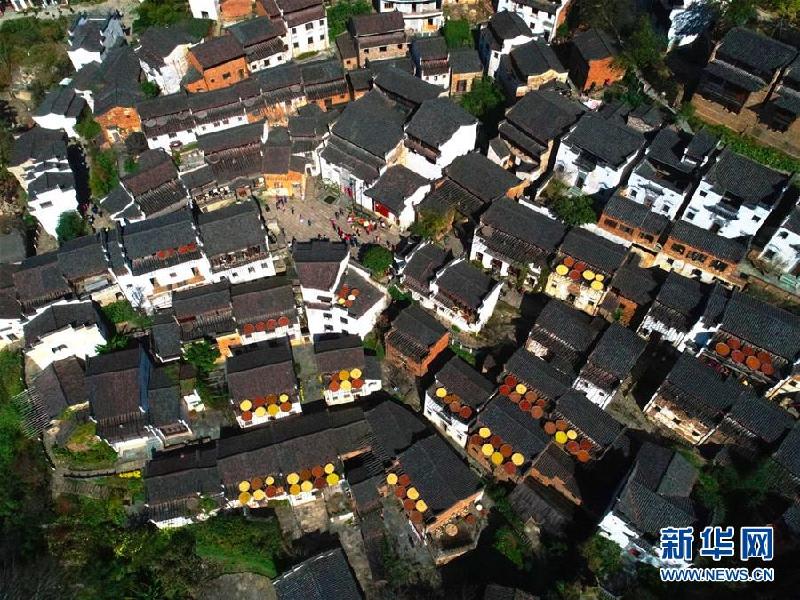 （图片故事）（7）“晒秋大妈”的幸福生活