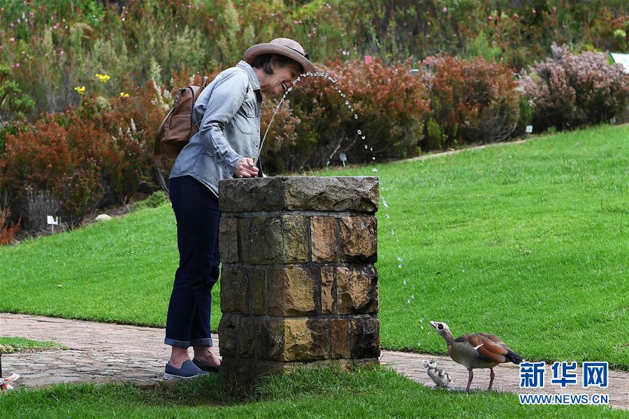 （视·觉）补水